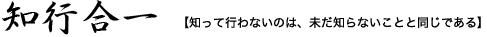 知行合一【知って行わないのは、未だ知らないことと同じである】